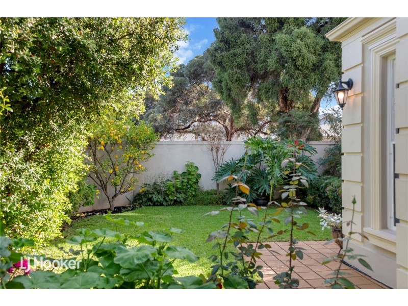 15 Rhyl Avenue, Wayville SA 5034