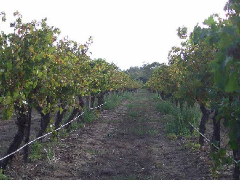 Lot 30 Blewitt Springs Road, Mclaren Flat SA 5171