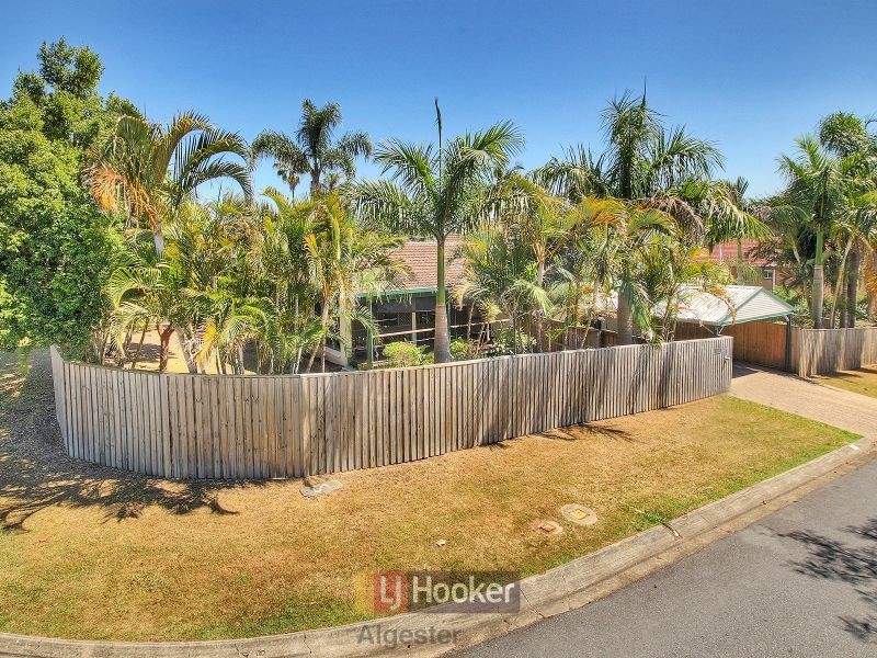 1 Blueberry Street, Algester QLD 4115
