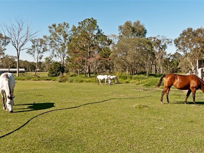 64 Laxton Road, Pallara QLD 4110