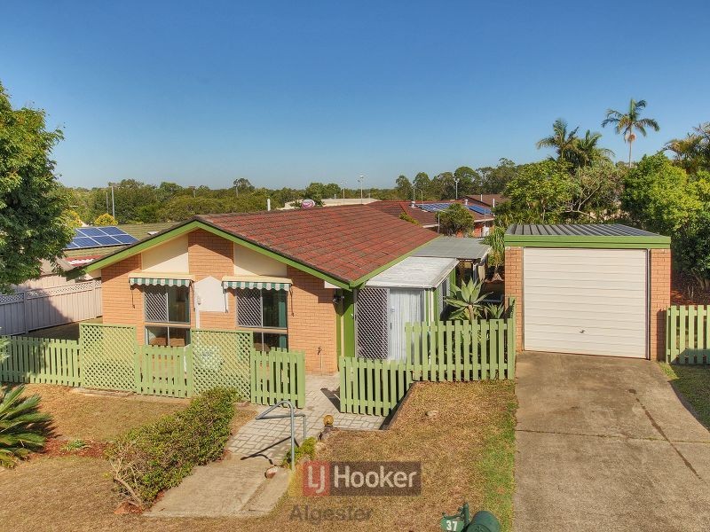37 Macaranga Street, Algester QLD 4115