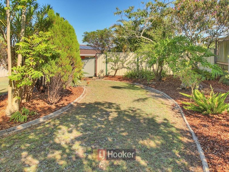 37 Macaranga Street, Algester QLD 4115