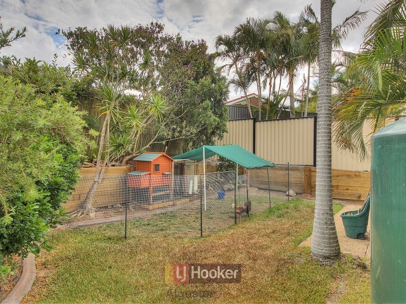 8 Lynx Court, Algester QLD 4115