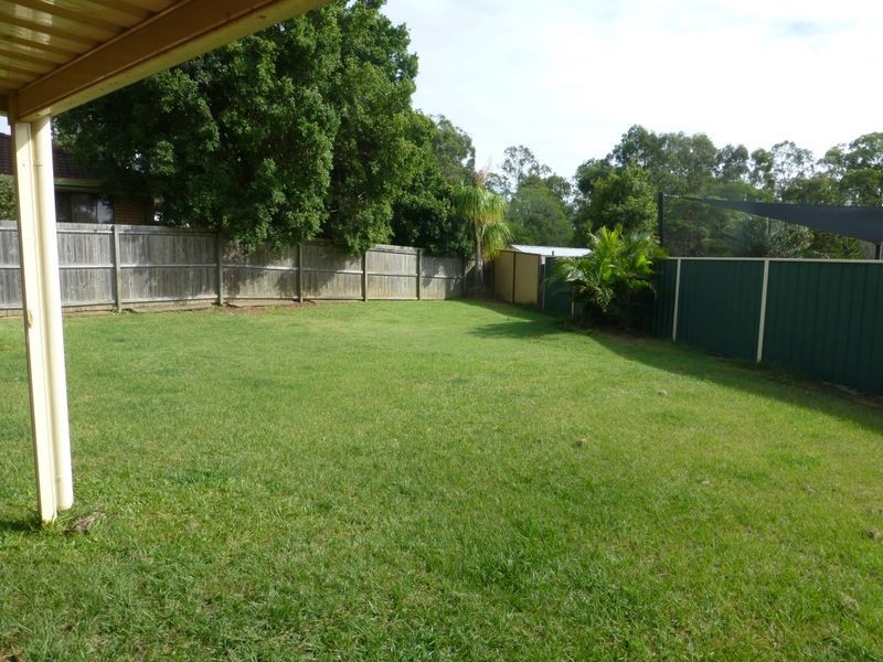 3 Cerbera Place, Algester QLD 4115