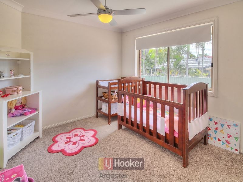 5 Lynx Court, Algester QLD 4115