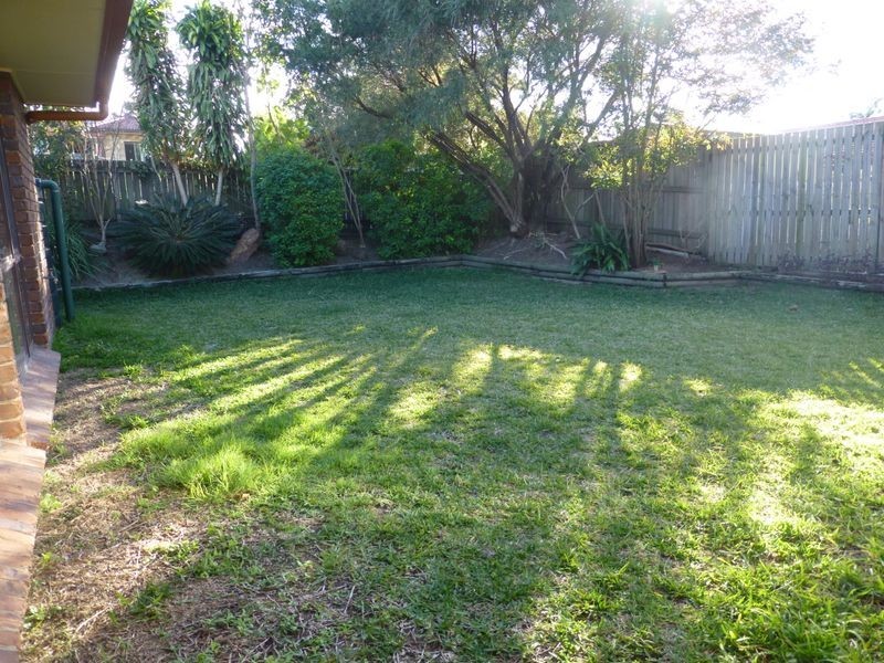 3 Rainbowridge Crescent, Algester QLD 4115
