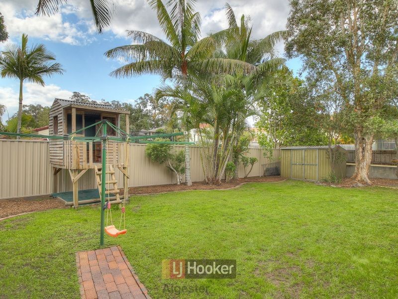 8 Ramblingwood Court, Algester QLD 4115