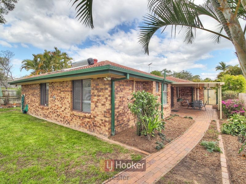 8 Ramblingwood Court, Algester QLD 4115