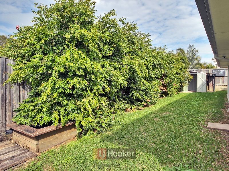 55 Bougainvillea Street, Calamvale QLD 4116