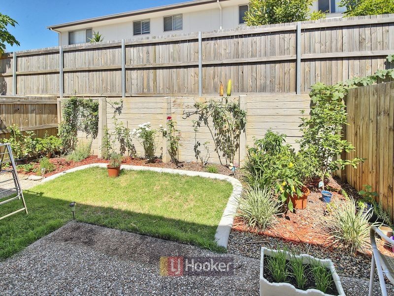 25/88 Candytuft Place, Calamvale QLD 4116