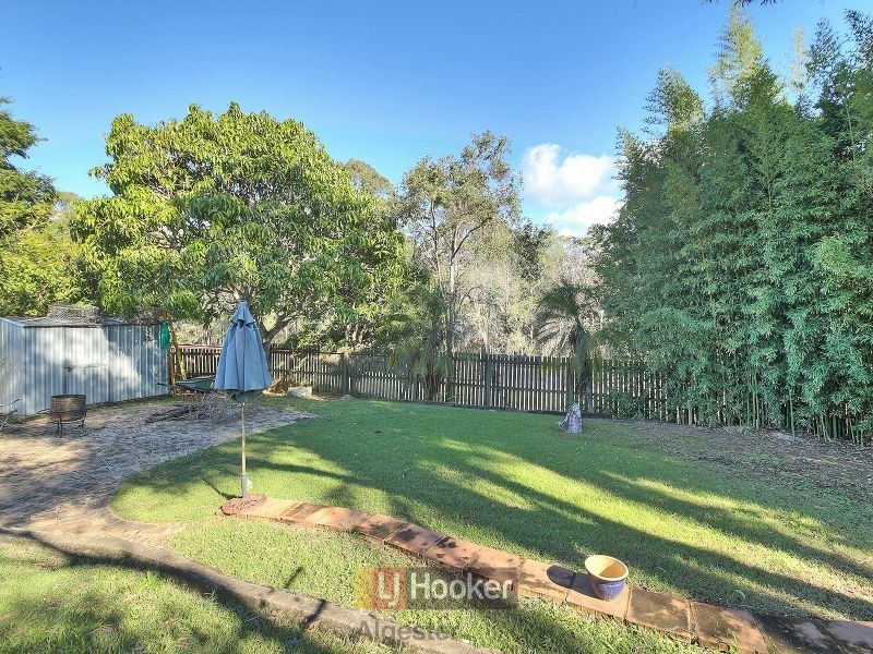 51 Helicia Street, Algester QLD 4115