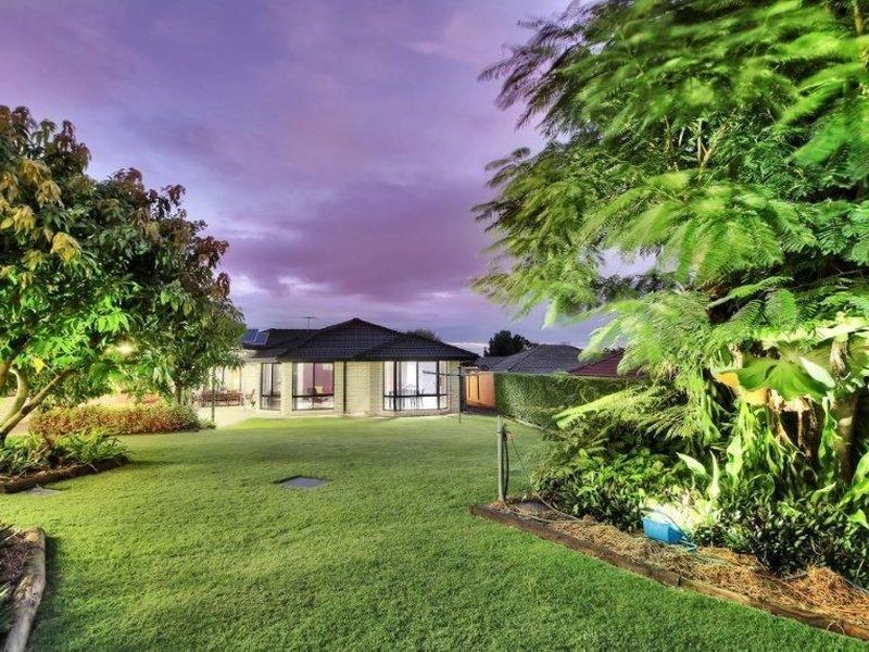 53 Dalmeny Street, Algester QLD 4115