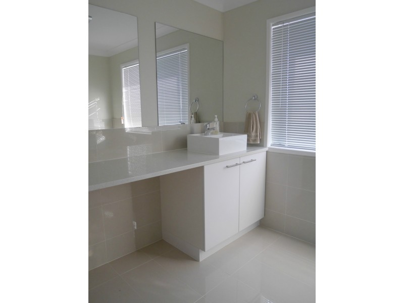 17 Blueberry Street, Algester QLD 4115