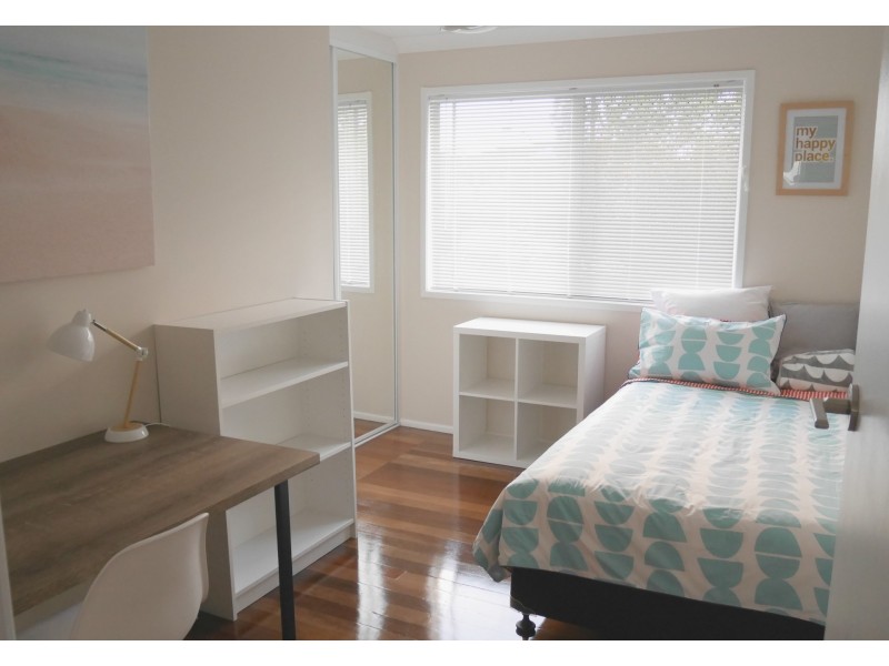 17 Blueberry Street, Algester QLD 4115