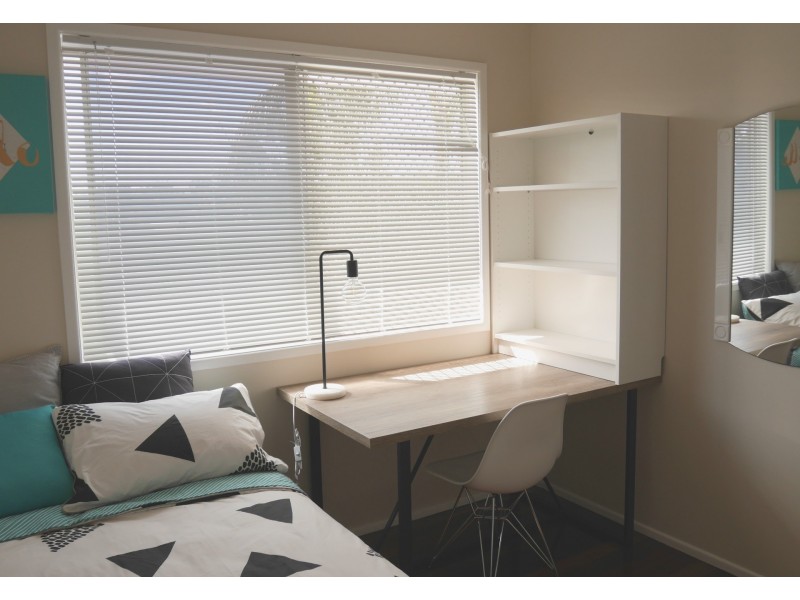 17 Blueberry Street, Algester QLD 4115