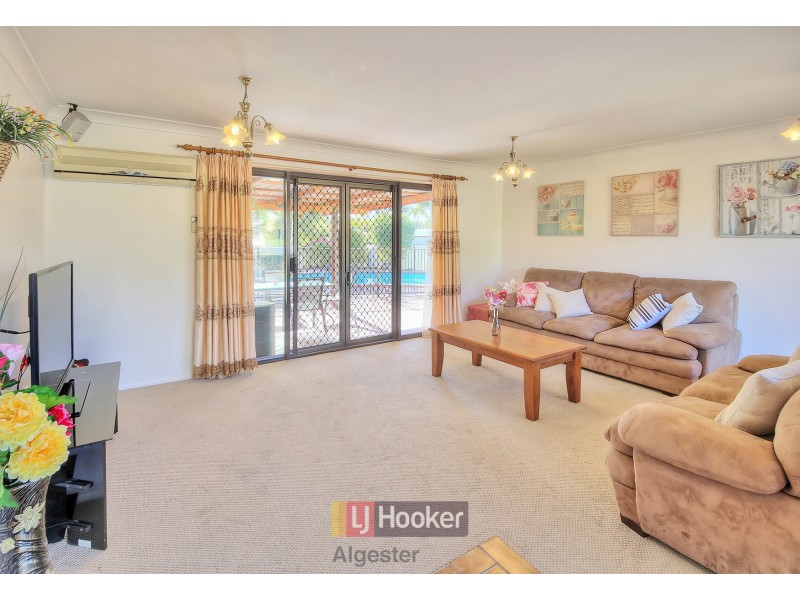 16 Cardwellia Street, Algester QLD 4115