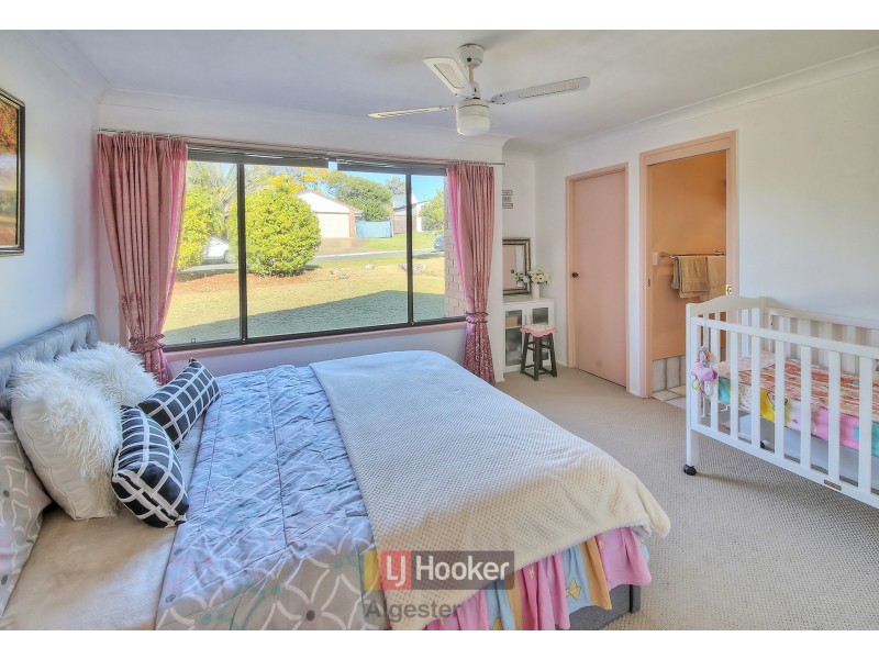 16 Cardwellia Street, Algester QLD 4115