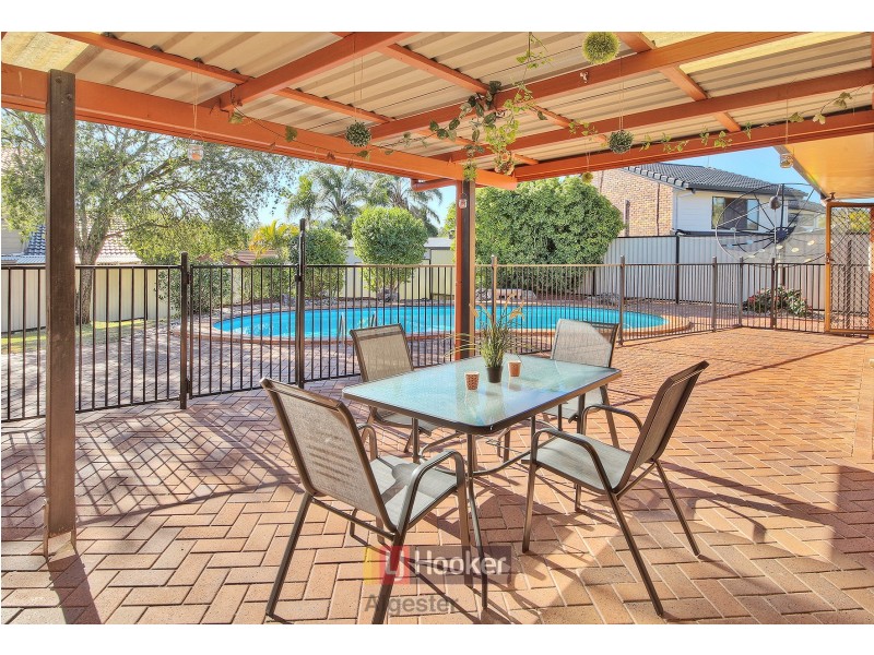 16 Cardwellia Street, Algester QLD 4115