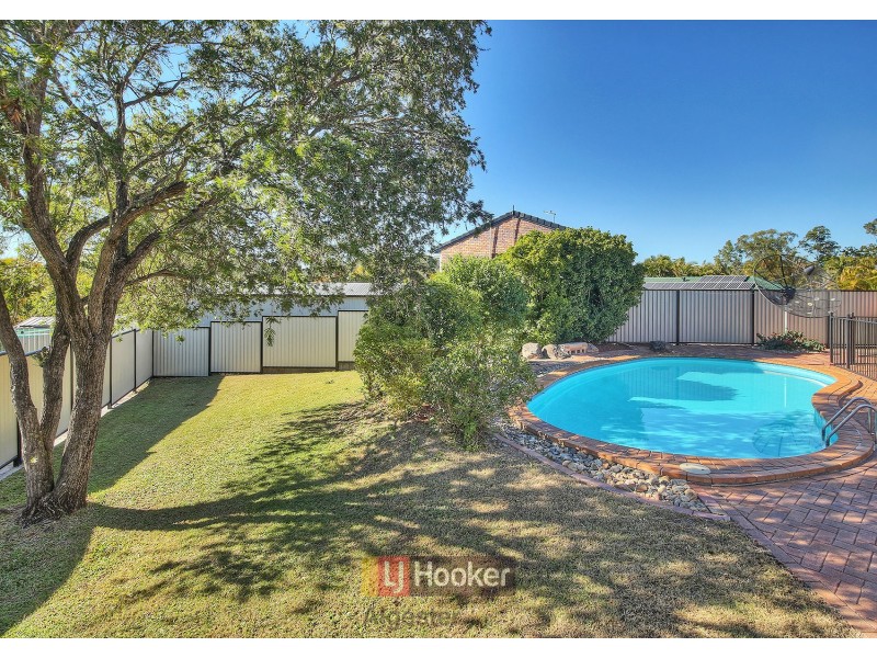 16 Cardwellia Street, Algester QLD 4115