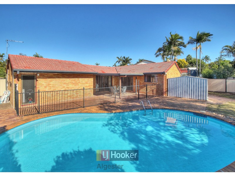 16 Cardwellia Street, Algester QLD 4115