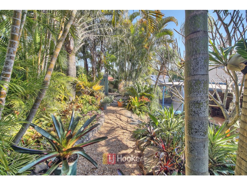 36 Helicia Street, Algester QLD 4115