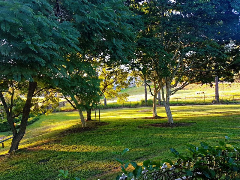 18 Pinewood Court, Algester QLD 4115