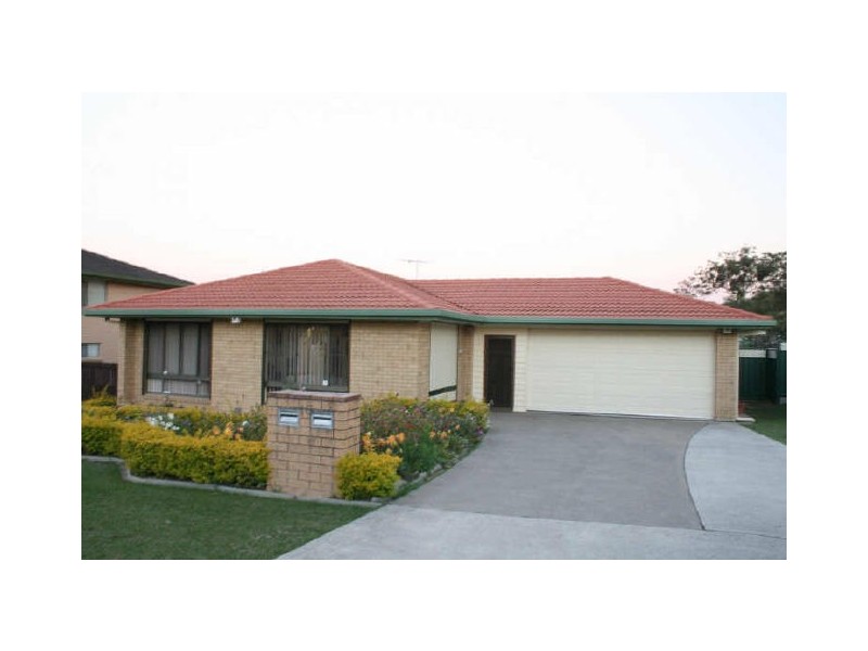 16 Bursaria Street, Algester QLD 4115