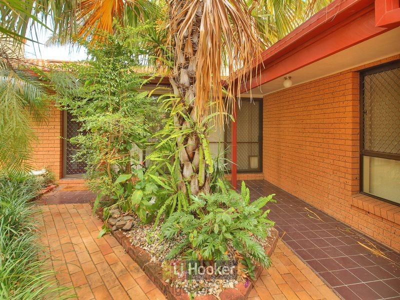 53 Basswood Street, Algester QLD 4115