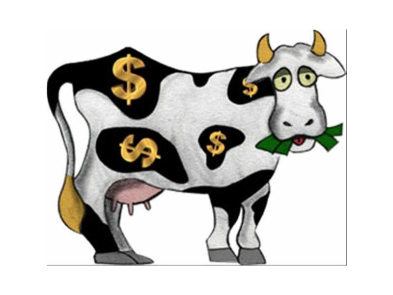 Acacia Ridge QLD 4110