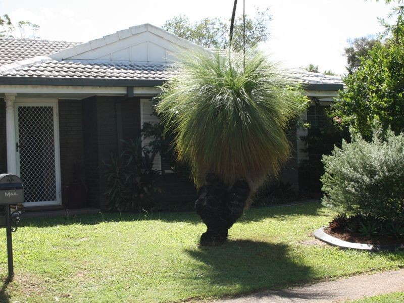 19 Ceratonia St, Sunnybank Hills QLD 4109