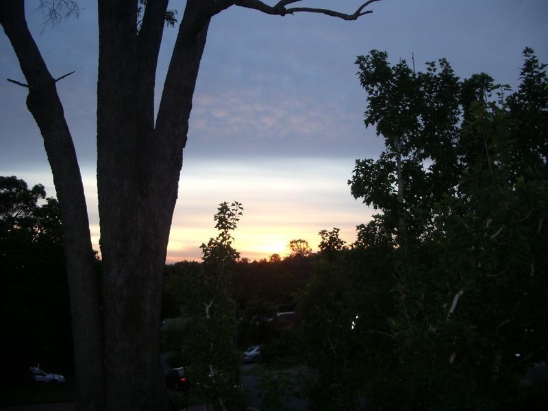 20 Tarzali Street, Algester QLD 4115