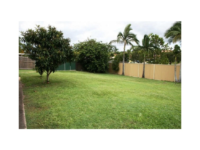 33 Laurel Oak Drive, Algester QLD 4115