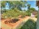 207 Algester Road, Algester QLD 4115