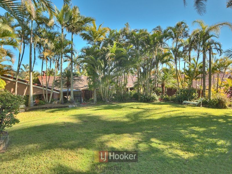 93 Jackson Road, Sunnybank Hills QLD 4109