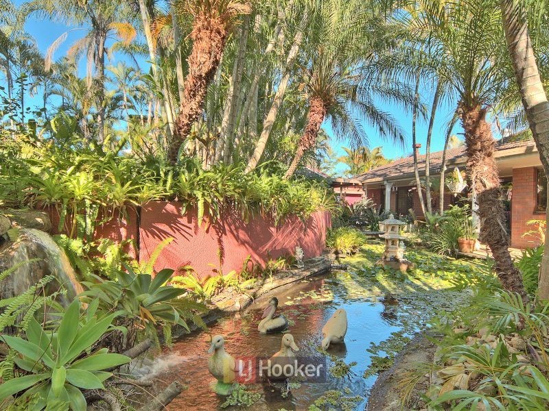 93 Jackson Road, Sunnybank Hills QLD 4109