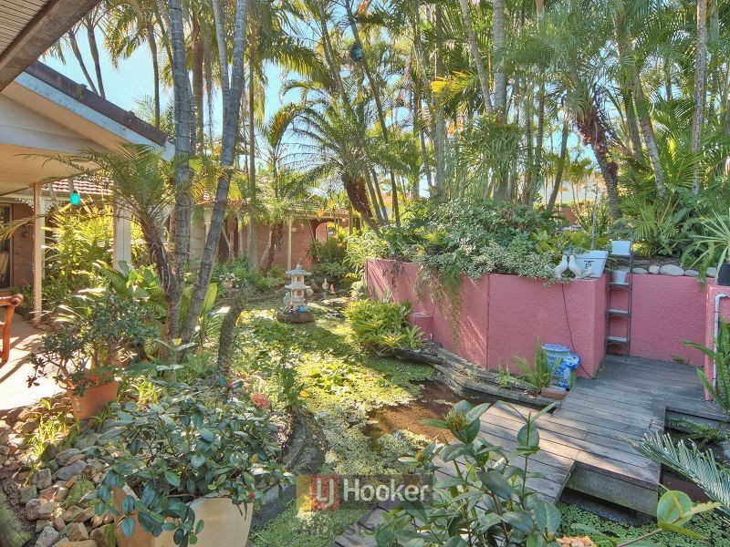 93 Jackson Road, Sunnybank Hills QLD 4109