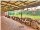 18 Helicia Street, Algester QLD 4115
