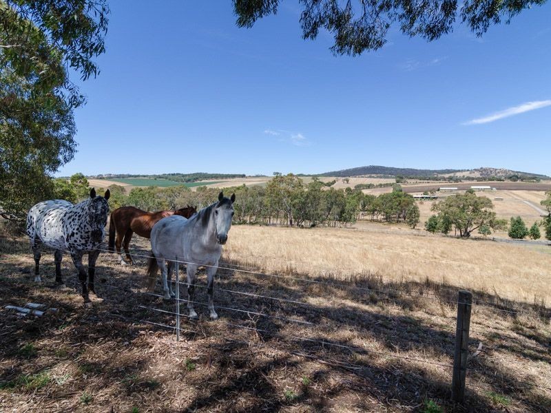 163 Burnbank Way, Mount Barker SA 5251