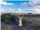 1356 Callington Road, Woodchester SA 5255
