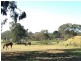 325 Battunga Road, Echunga SA 5153