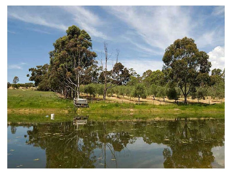 79 Harper Road, Mount Barker SA 5251