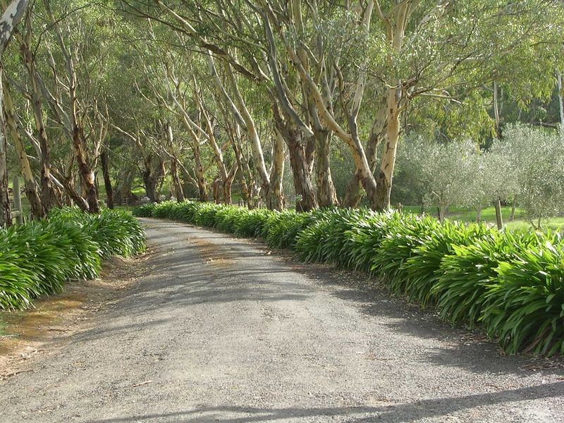 79 Harper Road, Mount Barker SA 5251