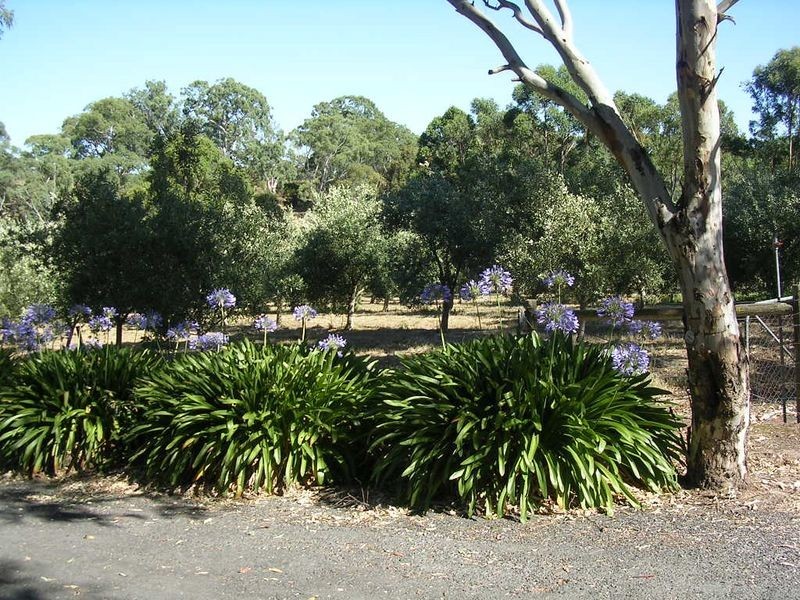 79 Harper Road, Mount Barker SA 5251