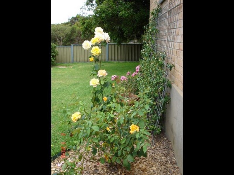 1829 Strathalbyn Road, Flaxley SA 5153