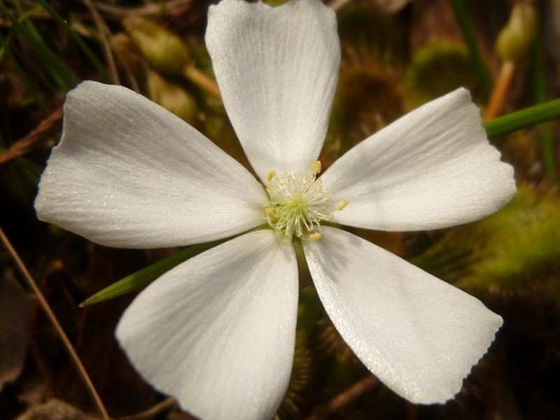 3/ Parsons Beach Road, Waitpinga SA 5211