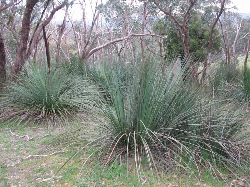 Lot 2 Hack Range Road, Echunga SA 5153