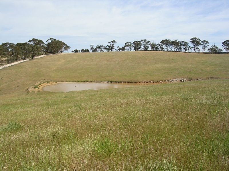 Lot 410 Daniel Road, Wistow SA 5251