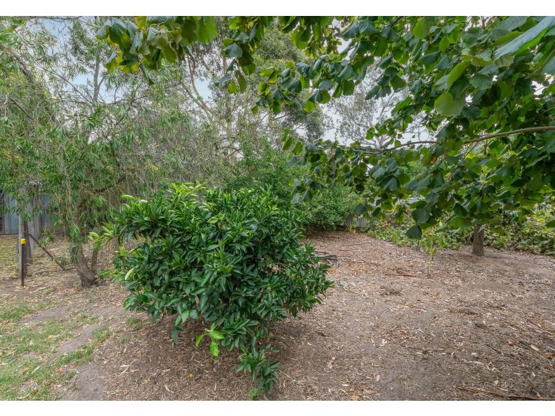 13 Lewis Avenue, Mount Barker SA 5251