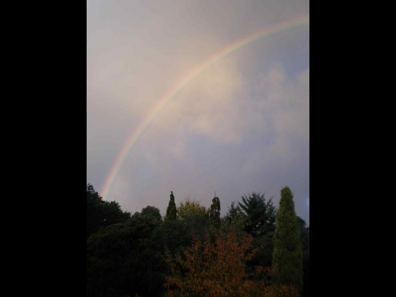 1387 Brookman Road, Hope Forest SA 5172