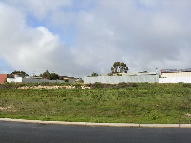 11 Chris Collins Court, Murray Bridge SA 5253